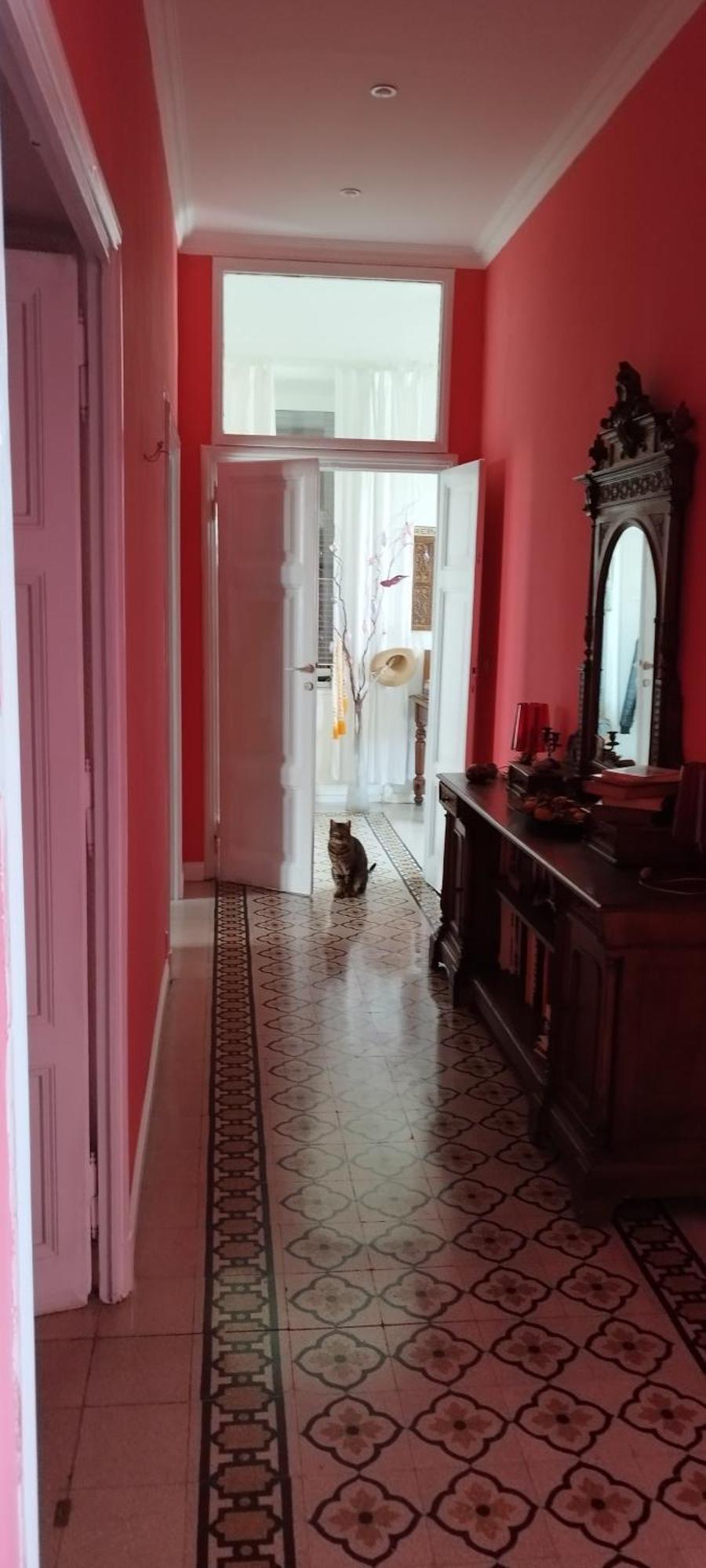 Alloggio in famiglia Stanza In Romantica Casa Romana